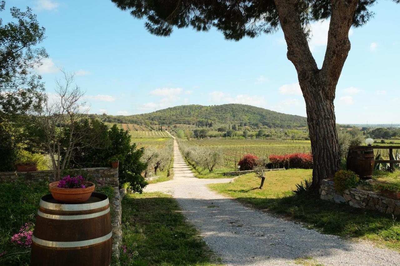 Agriturismo Biologico Bulichella Suvereto Exterior foto
