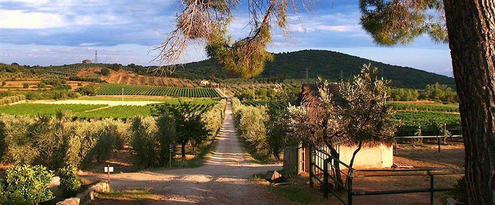 Agriturismo Biologico Bulichella Suvereto Exterior foto